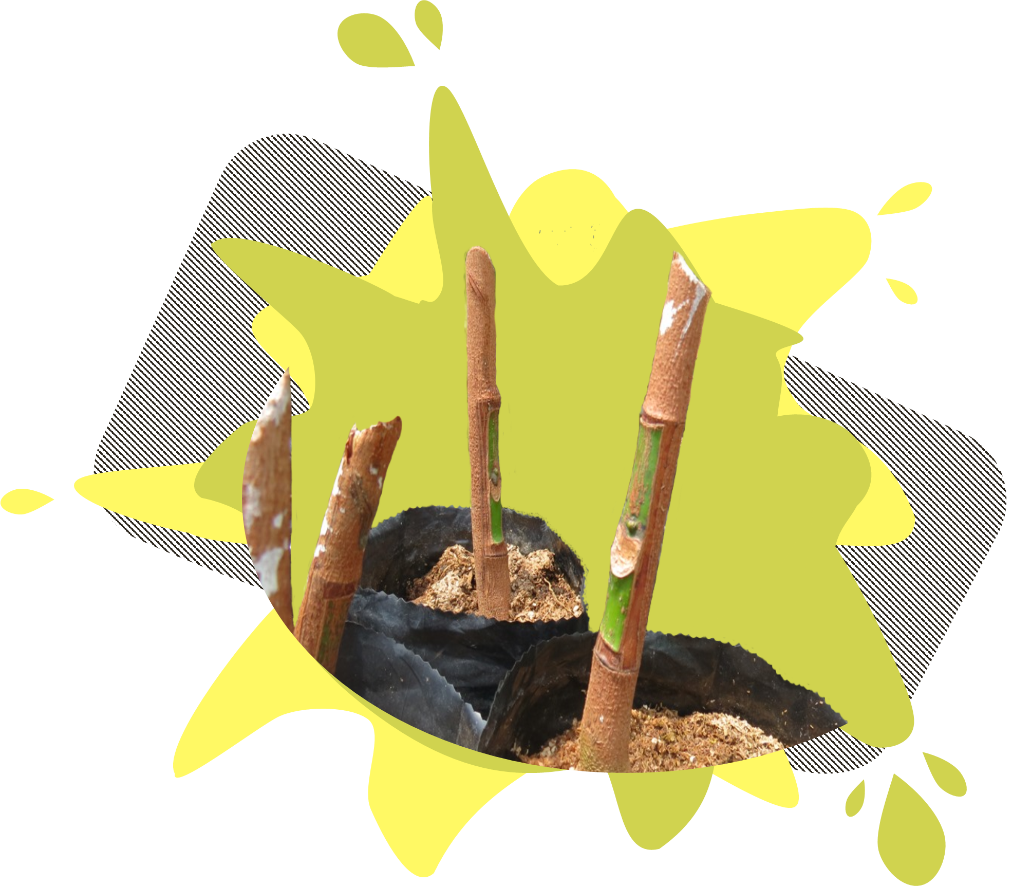 CONTENIDO_PRODUCTOS_3